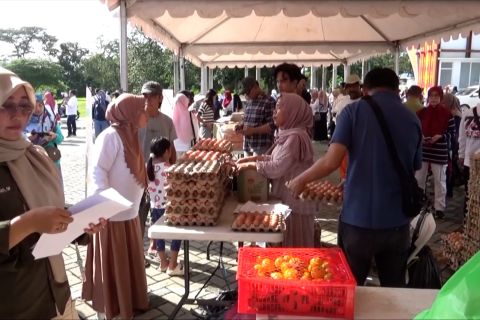 Bulog dorong GPM jadi sarana masyarakat lokal dapatkan pangan murah