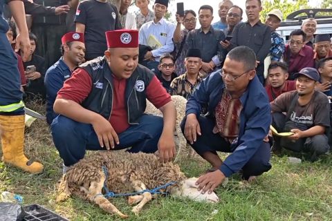 Kemenag Ponorogo beri pelatihan Juru Sembelih Halal ke ratusan peserta