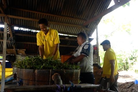 Lapas Namlea optimalkan potensi kayu putih Pulau Buru
