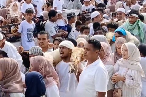 Mengenal Lawapipi, tradisi unik Idul Adha dari Negeri Hila Maluku