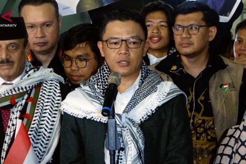 Menlu kecam kekerasan terhadap relawan GSF 2.0 yang tiba di Indonesia