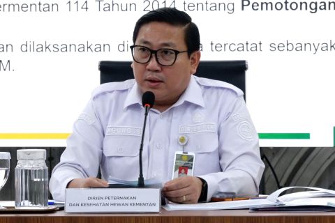 Pemerintah tegaskan ketersediaan stok pangan aman jelang Idul Adha