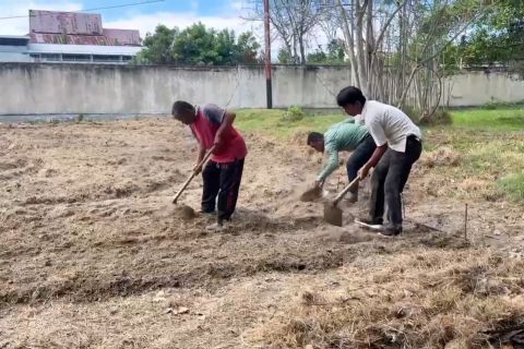Pemkot Palu galakkan Urban Farming untuk kemandirian pangan keluarga