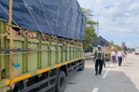 Penertiban ODOL bakal diuji coba di ruas jalan tol per 1 Juni