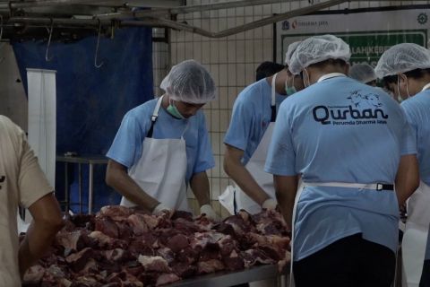 Perumda Dharma Jaya pastikan hewan potong Idul Adha berkondisi sehat