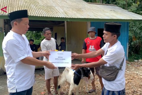 ANTARA salurkan hewan kurban bagi masyarakat Adat Selena di Palu