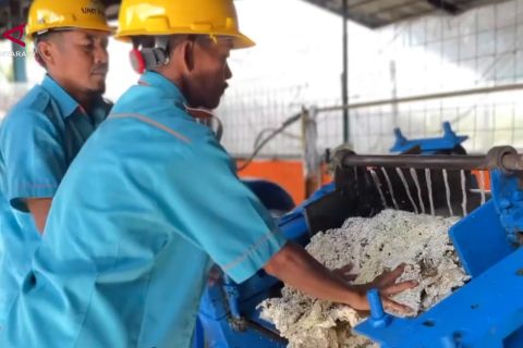 Hilirisasi karet dongkrak harga di tingkat petani Kaltim
