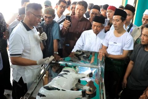 Pemkab Temanggung gandeng MUI gelar pelatihan juru sembelih halal