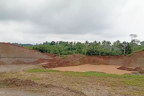 DLH Serang dorong penghijauan di lahan bekas tambang