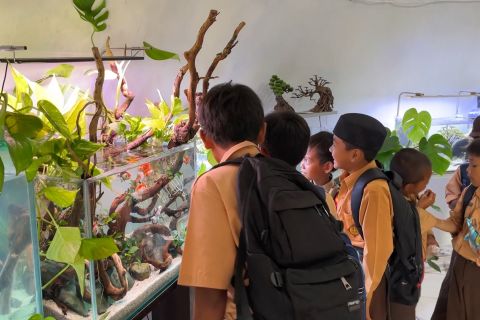 Kontes ikan hias Wali Kota Cup meriahkan HUT ke-500 Banjarmasin