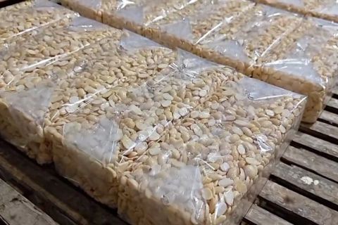 Tempe hadapi krisis ganda, lonjakan plastik dan kedelai