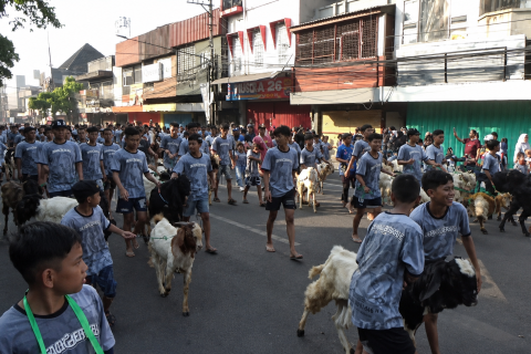 Tradisi arak-arakan hewan kurban meriahkan Idul Adha di Malang