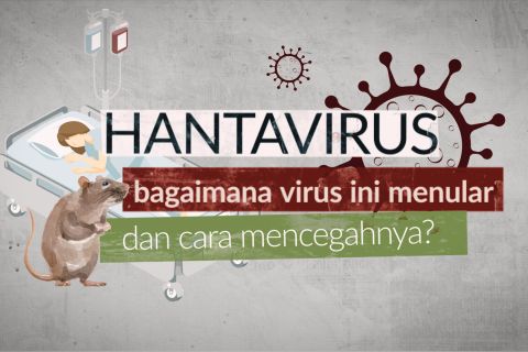 Kenali Hantavirus dan panduan praktis mencegah penularannya