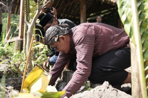 Wabup Sleman menanam beringin putih mengawali "Lampah Dalu Lereng Merapi"