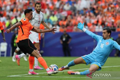 Belanda juara grup F setelah bungkam Tunisia 3-1