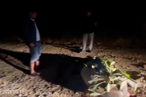 BBKSDA dorong mitigasi jalur satwa liar usai tapir mati tertabrak