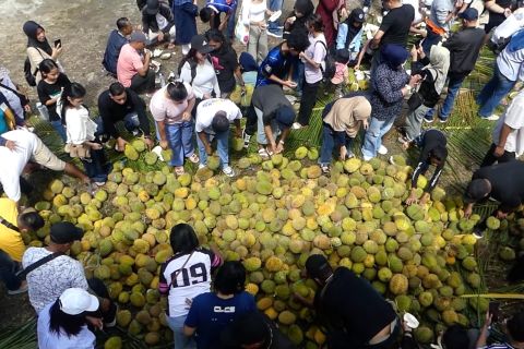 Festival durian Hutumuri untuk perkenalkan potensi wisata lokal