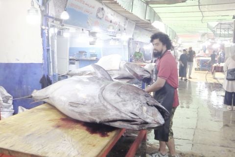 Hasil tangkapan tuna di Tripoli Libya kian masif