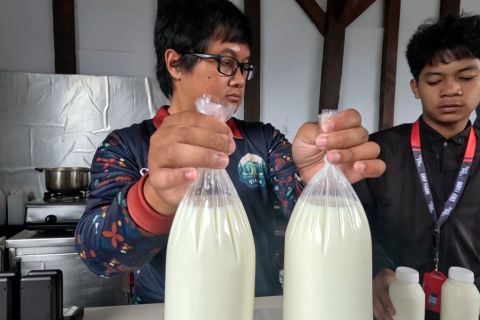 Kemenko Pangan siapkan strategi kemandirian susu nasional