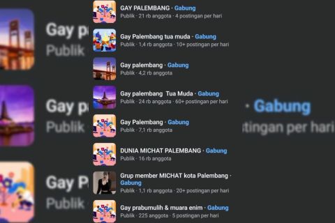 Marak grup LGBT di medsos, Pemprov Sumsel perkuat upaya pencegahan