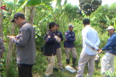 Mencari titik terang munculnya api misterius di Seyegan