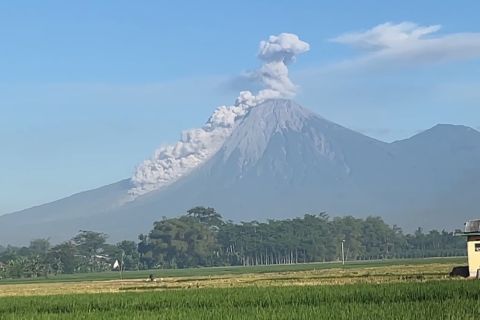 Semeru erupsi dengan kolom abu setinggi seribu meter