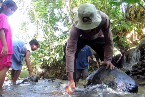 Anak-anak di Jember isi libur sekolah dengan bersih-bersih sungai