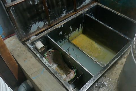 Tiga SPPG di Temanggung dihentikan karena bermasalah IPAL