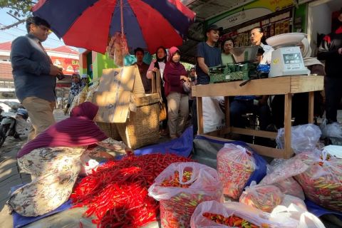 Warung tekan inflasi di Malang hadir untuk redam harga cabai