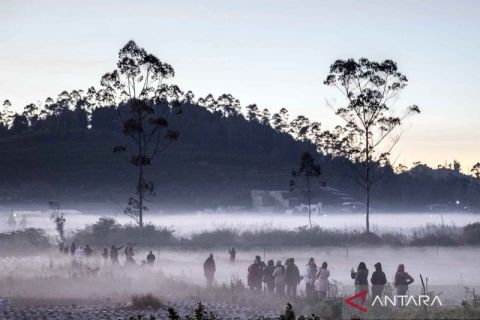 Berwisata fenomena embun beku di dataran tinggi Dieng