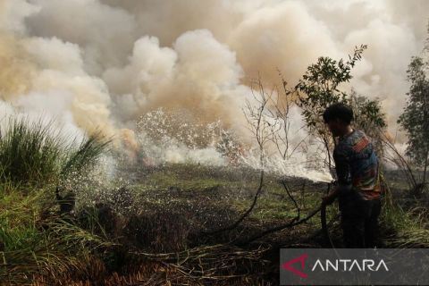 Kebakaran hutan dan lahan di Palangka Raya