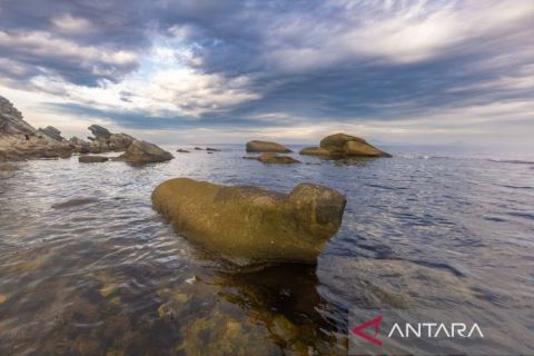 Formasi batu mirip hewan jadi daya tarik Pantai Matahari Rusia