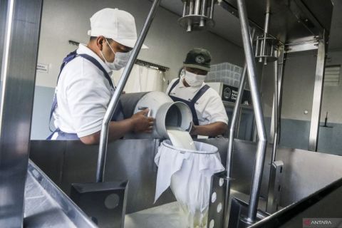 Produksi keju artisan di Sleman serap susu peternak lokal