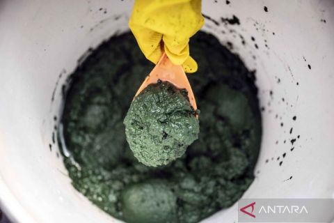 Budidaya alga Spirulina dengan teknologi ramah lingkungan di Semarang