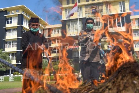 Polda Sumbar musnahkan barang bukti narkotika