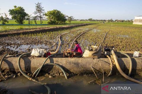 Water pump program helps tackle drought nationwide