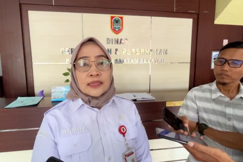Disbunnak Kalsel optimalkan koperasi karet dapat bermitra dengan KDMP