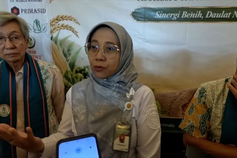 Kementan gandeng asosiasi, permudah petani peroleh bibit unggul