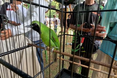 Ratusan kicau mania se-Indonesia ramaikan Wali Kota Cup 2 Bogor
