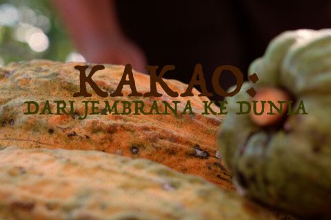 Kakao: dari Jembrana ke dunia (bagian 3)