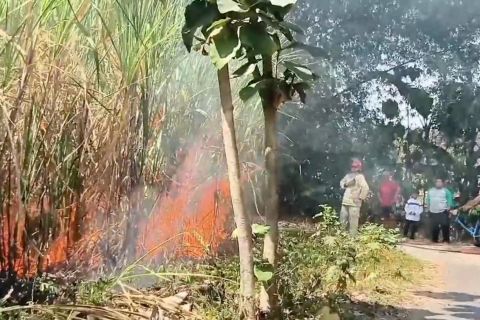 Kebakaran lahan meningkat, Damkar Magetan siagakan 8 armada