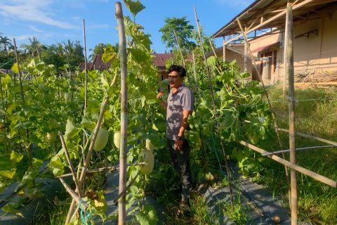 Pemuda di Aceh Utara manfaatkan pekarangan rumah jadi agrowisata
