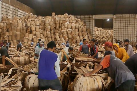 Penyeragaman kemasan rokok dikhawatirkan suburkan produk ilegal