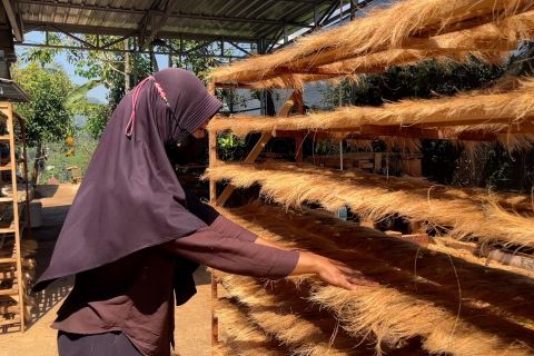 Warga Banjarnegara ubah limbah kelapa jadi sapu tembus pasar ekspor
