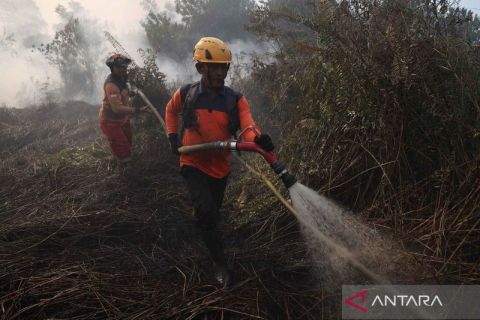 Sudah sepekan petugas berjibaku padamkan karhutla di Kubu Raya