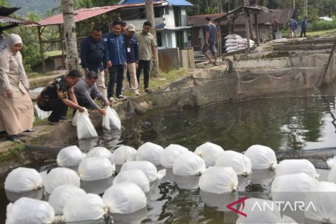 KKP pastikan tambak budidaya beroperasional kembali pascabencana Sumbar