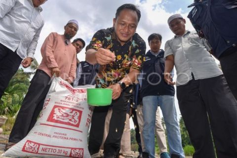 Kementerian KKP bantu pelaku usaha perikanan di Sumbar
