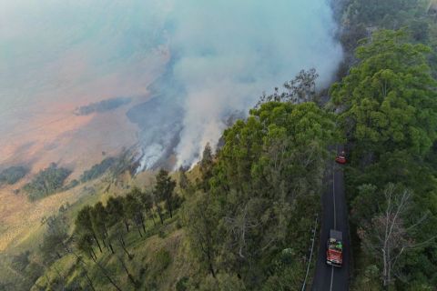 Kebakaran hutan melanda Bromo, sebagian akses wisata ditutup demi keselamatan