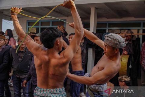 Saling sabet rotan pada tradisi Ojung Suku Tengger