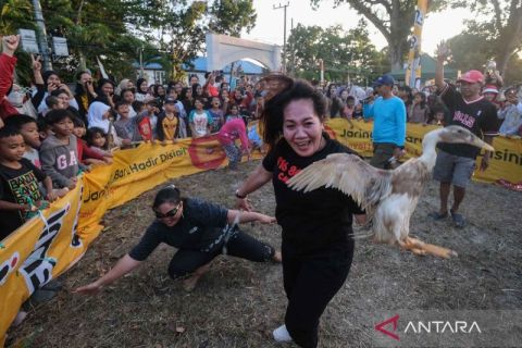 Begini keseruan lomba tangkap itik sambut HUT RI di Kendari